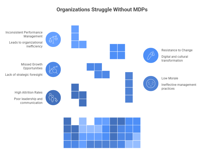 Organizations Struggle Without MDPs