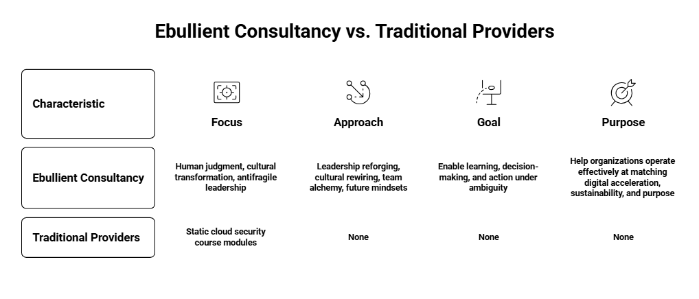 Ebullient Consultancy vs. Traditional Providers