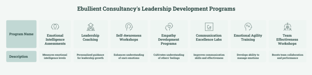 Ebullient Consultancy's Leadership Development Programs