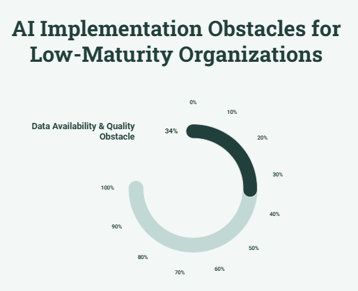 AI Implementation Obstacles for Low-Maturity Organizations